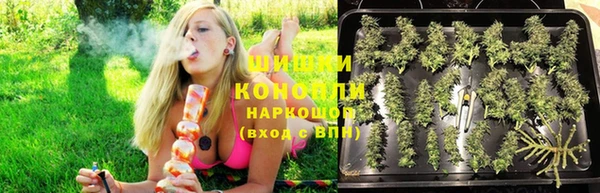 не бодяженный Бикин