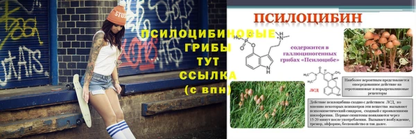 круглые Аркадак