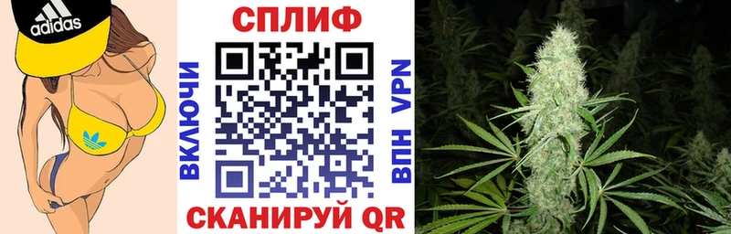 купить  сайты  Дюртюли  Канабис сатива 